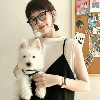 爱情斑马线